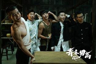 青禾男高电影在线观看,热血青春，激战校园的青春传奇